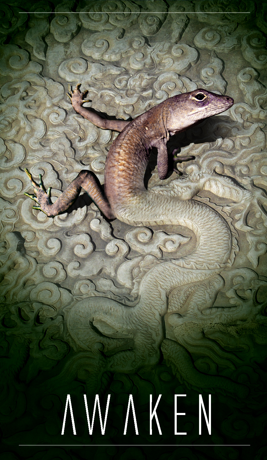 stone-lizard-3